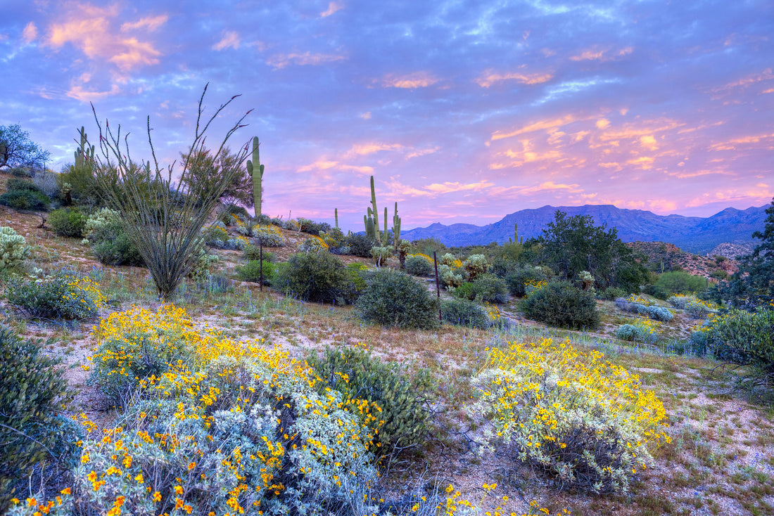 Arizona Golf Destinations: Our Top 15 Picks