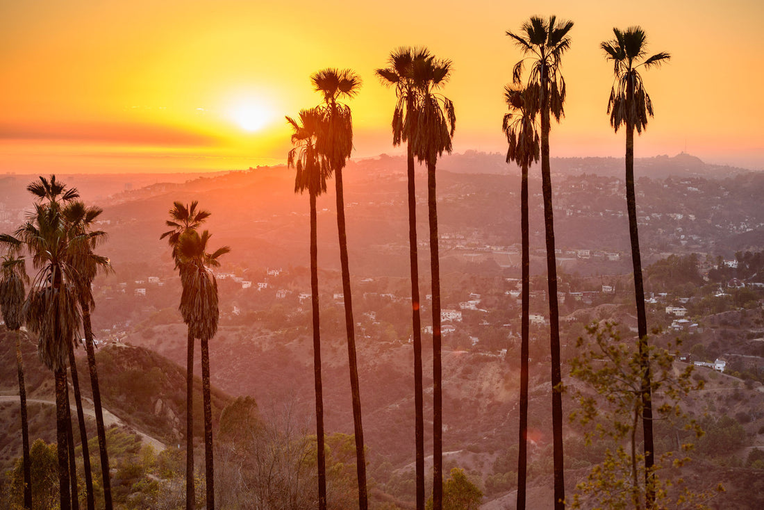 Playing Golf in Los Angeles - Southern California has it all !