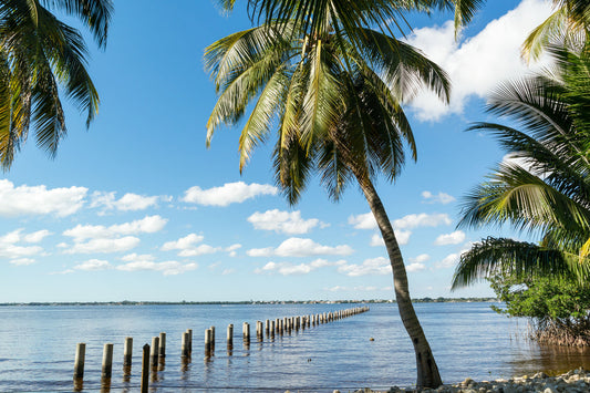 Golf Destination: Fort Myers Florida - Our Top 15 Picks