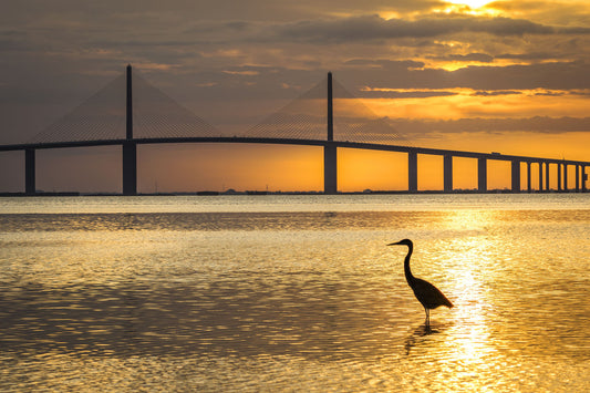 Tampa Florida, Here We Come! Our Top 15 Picks