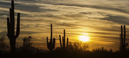Our Top 15 Picks for Golfing in Phoenix Arizona
